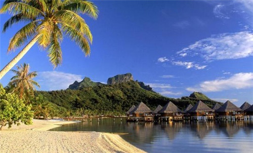 笨小鸭手撕面包