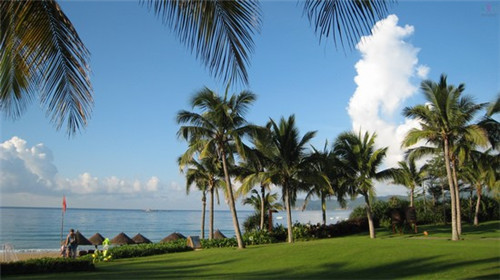 一休屋日本料理