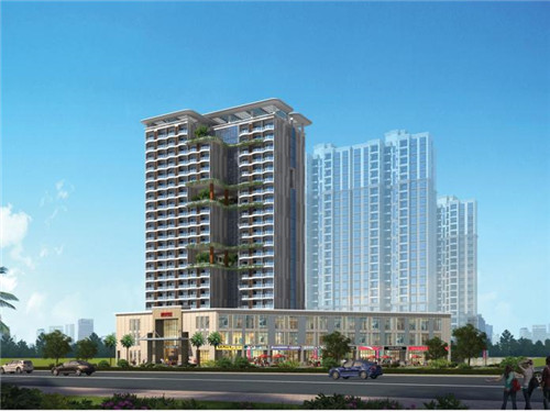 新西兰岩烧乳酪