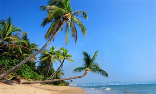 汉堡店创业需要多少