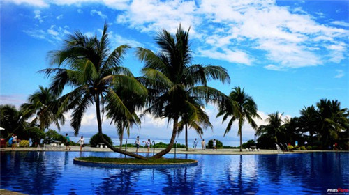 披萨店创业计划书怎么