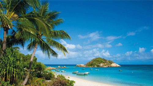 二妮子菜煎饼在天津市有几家店铺