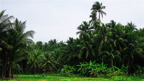 大明汽车美容加盟费用贵不贵，大明汽车美容开店要花多少钱