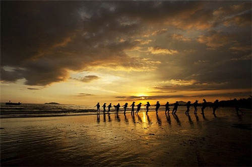 三品三贡茶加盟在滨海县要求多吗