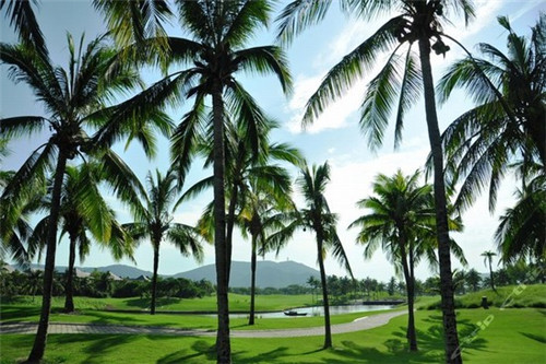 奶茶加盟店怎么转