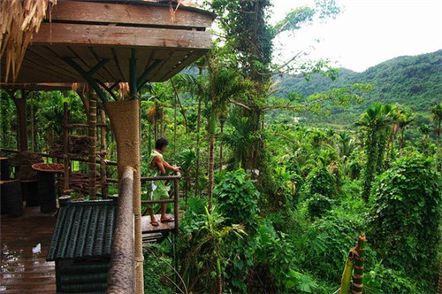 退货退还加盟费吗