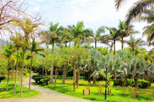 药店怎么加盟加盟费是多少