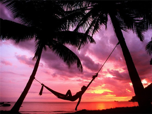 佛手指冒菜在宝兴县冒菜市场上的发展如何