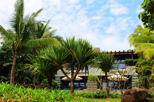 人人节能加盟费多少，人人节能灶系列产品大全