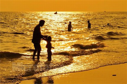 原江苏阳光退市后代号是（江苏阳光股东）